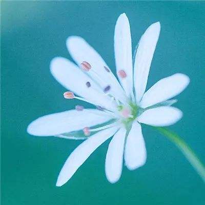 蜀山侠侣360版下载